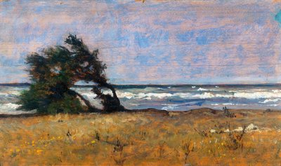 Storm by Giovanni Fattori